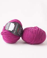 Phil Merinos 6 von Phildar Anemone