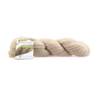 Babyalpaca Los Andes von Pascuali 21 Beige