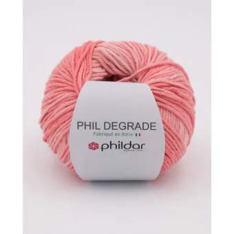Phil Degrade von Phildar Corail